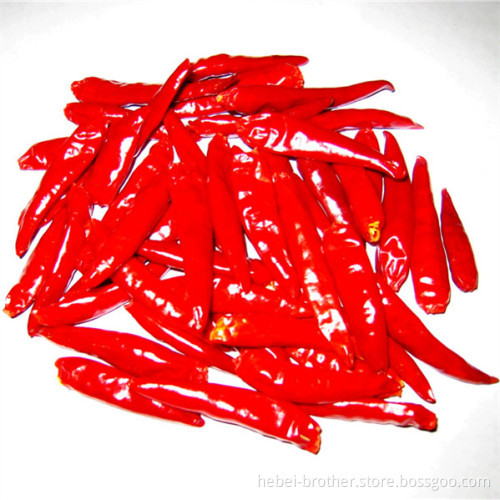 SMALL CHILLI